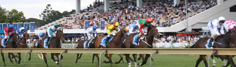 Sports Events & Competitions